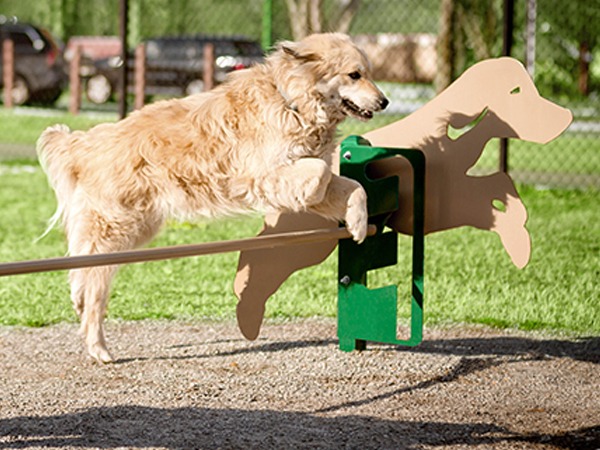 other outdoor and recreational spaces and dog park design and installation services