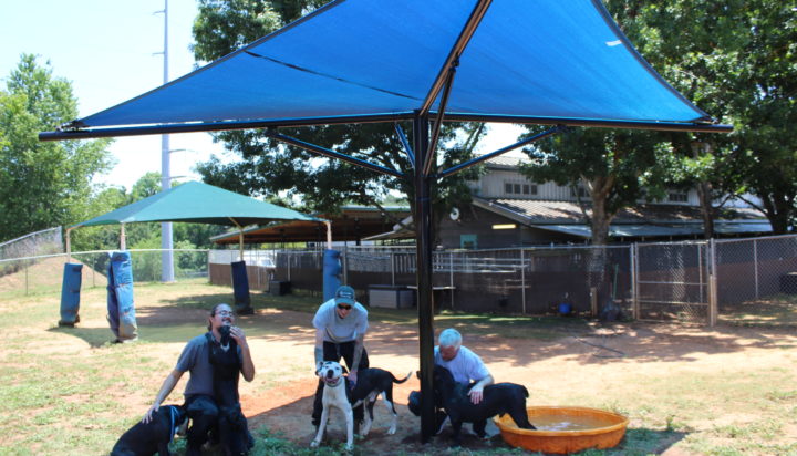 UMBRELLA SHADE INSTALLED AT TALLAHASSEE ANIMAL SERVICES CENTER