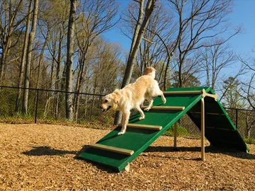 King-of-the-Hill-Dog-Park-Agility-Ramp