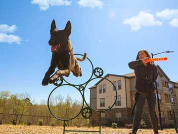 Large-Hoop-Jump-Dog-Park-Agility-Equipment
