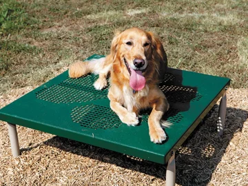 Paws-Grooming-Table-Dog Park-Rest-and-Training-Platform