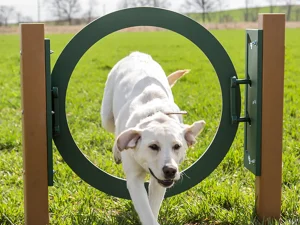 Recycled-Adjustable-Ring-Jump-Dog-Exercise-Equipment-2 (1)