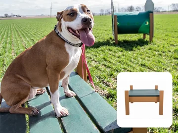 Recycled-Grooming-Table-Commercial-Dog-Park-Equipment-1