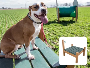 Recycled-Grooming-Table-With-Leash-Holder-Commercial-Dog-Park-Equipment-1