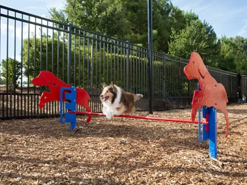Rover-Jump-Over-Dog-Exercise-Equipment