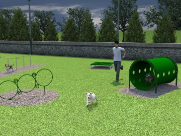 Small Dog Kit 4 Pieces Dog Park Product