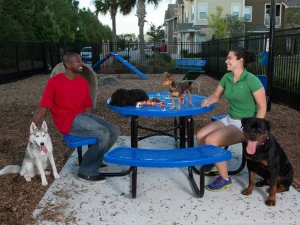 Chow-Hound-Table-46-Round-Table-Dog-Park-Equipment