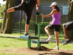 Step Up Fitness Station UP197 Outdoor Fitness Station 2