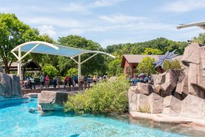 Guide to Shade Structures for Zoos – A Guide to Selecting Products and Installation Considerations