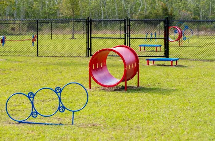 dog-park-equipment-products-dog-agility-courses-and-doggy-playground-equipment-13