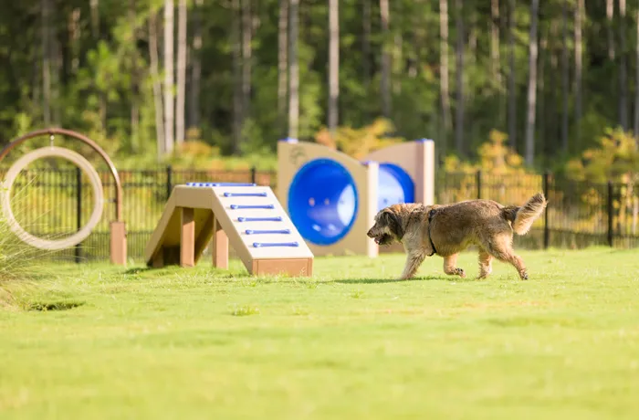 dog-park-equipment-products-dog-agility-courses-and-doggy-playground-equipment-17