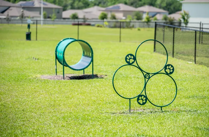 dog-park-equipment-products-dog-agility-courses-and-doggy-playground-equipment-20